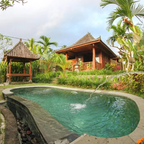 Belvilla Moksha Ceking Rice TerraceNearUbud Jungle Swing