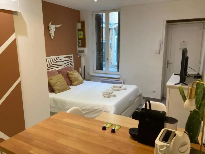 1 Bedroom Apartment