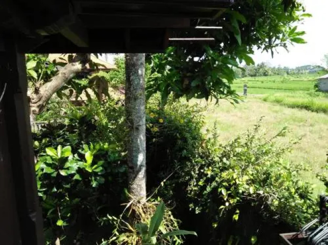 Majapahit Guest House Ubud