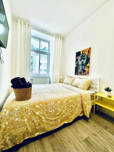 Cozy and Affordable Palace Studio