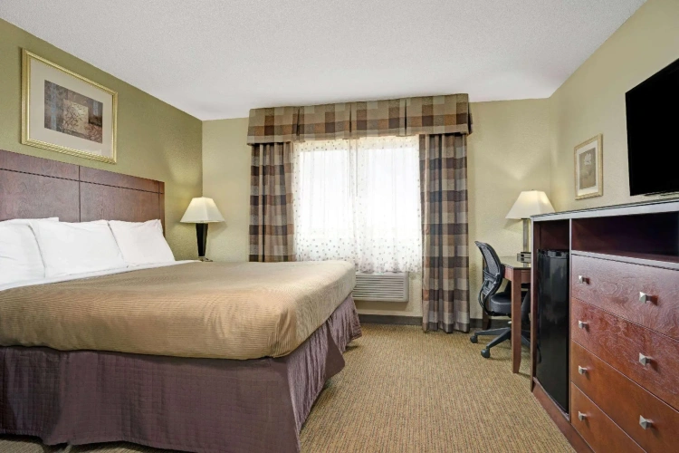 1 Bedroom Double Suite