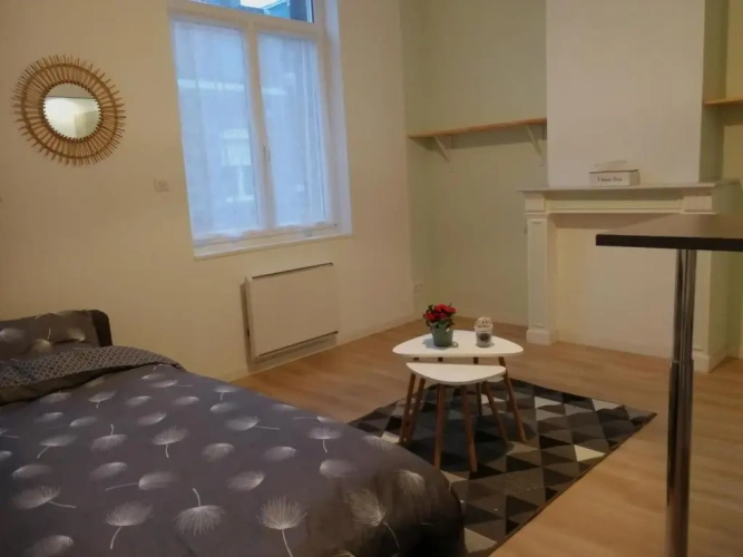 Standard Apartment
