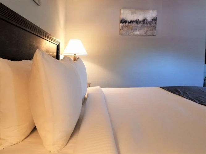 Executive Double Suite