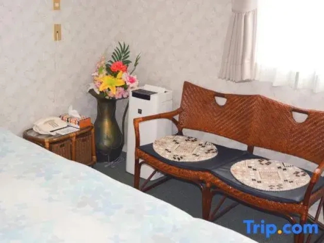 Standard Single room with city view