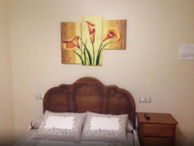 Standard Single room with city view