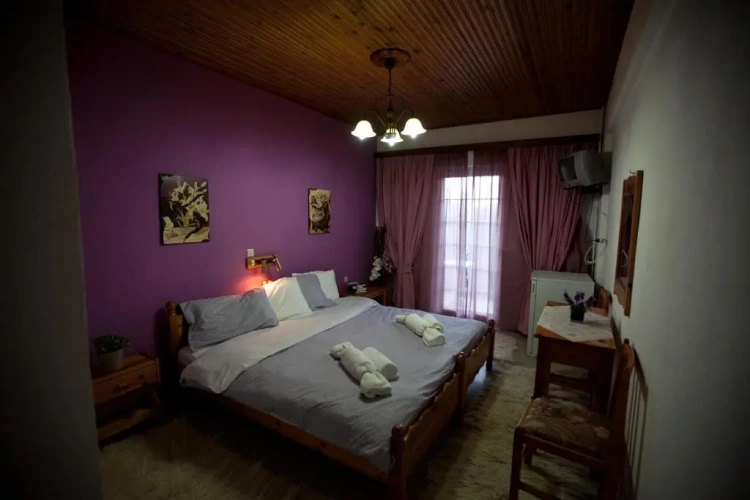 Standard Double room with mountain view