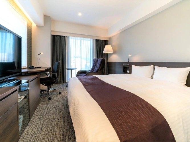 Deluxe Double room