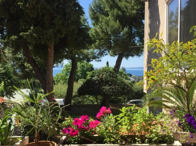 1 Bedroom Apartment with sea view