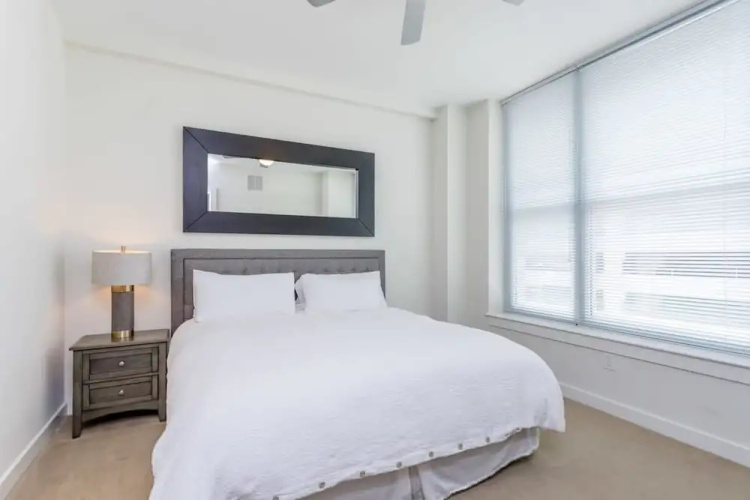 Constellations Elegant 1 BR in Downtown Houston