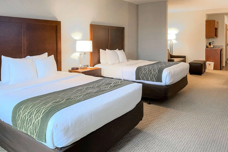 Standard Quadruple room