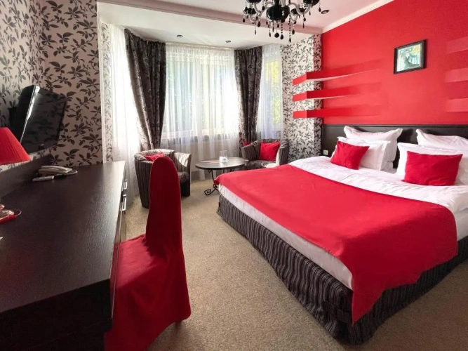 Junior Suite with view