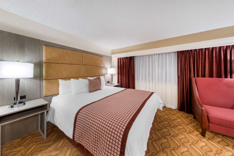 Double Basement Suite