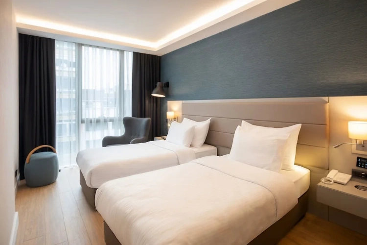 Superior Twin room with city view