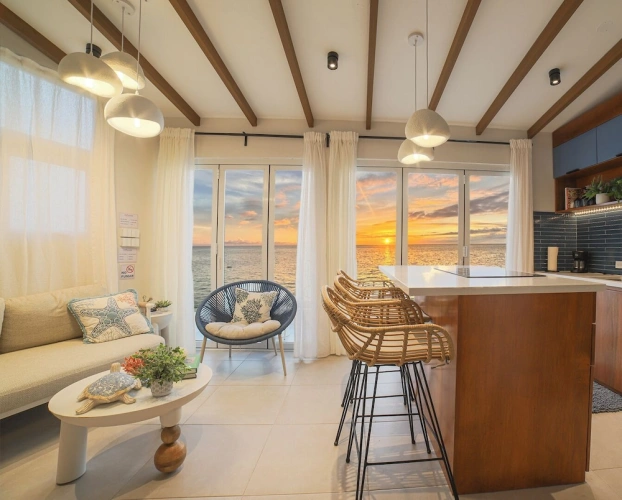 Luxury Apartment