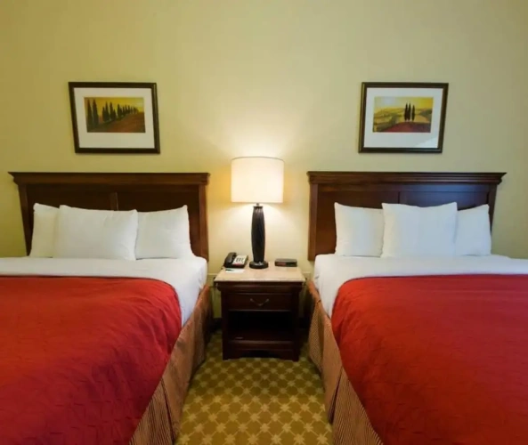 1 Bedroom Suite