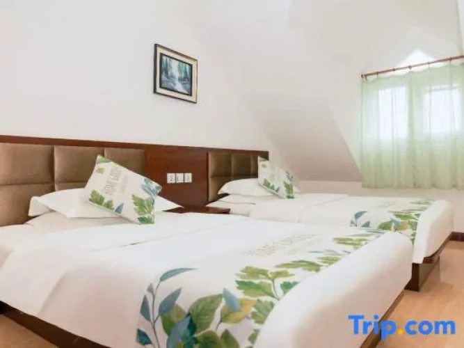 Triple Suite