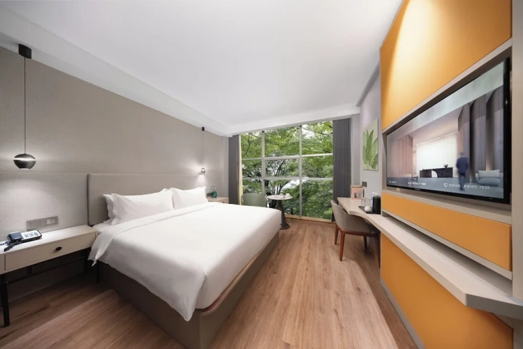 1 Bedroom Luxury room with city view