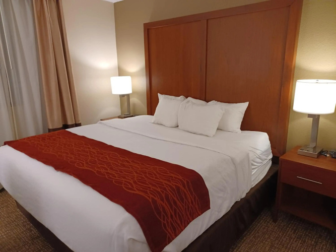 Comfort Inn & Suites Triadelphia - Wheeling