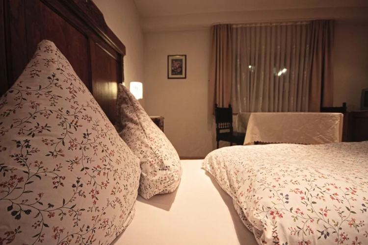 Hotel zum Schwan
