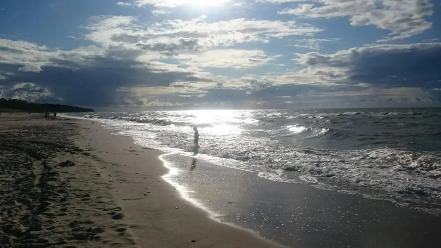 Sea & Lake