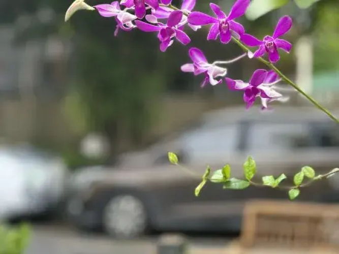 yujianpengqi