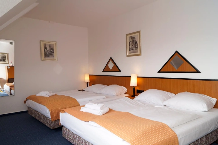 Standard Double room