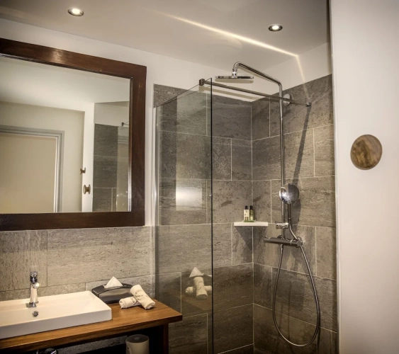 Superior Double room with pool view