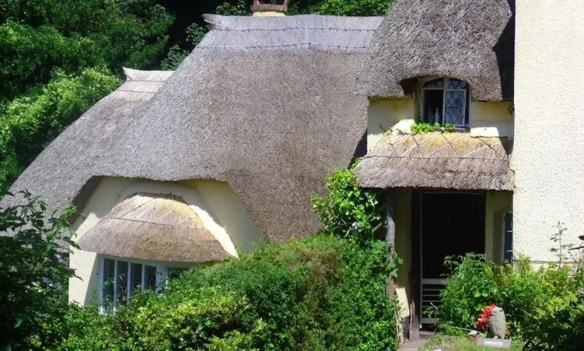 Holnicote House
