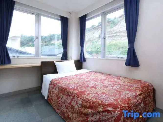 Standard Single room with mountain view