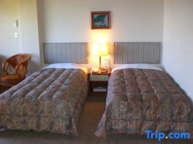 Standard Twin room with ocean view