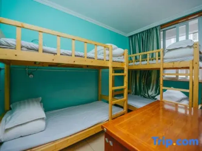Bed in Dorm