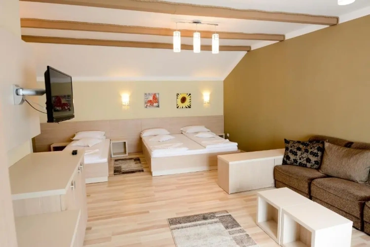 1 Bedroom Suite