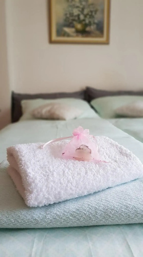 Apartma Svetina