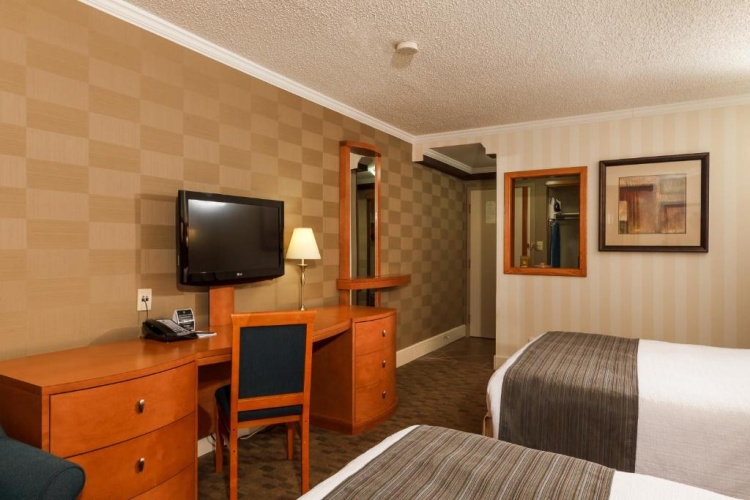 Standard Quadruple room with garden view