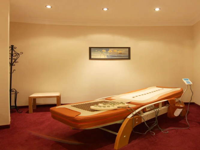 The Vineyards Spa Hotel