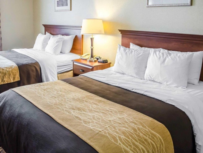 Quadruple Suite