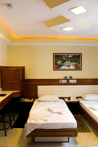 1 Bedroom Standard Triple room