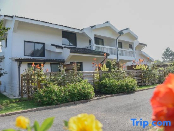 Huayu Meishu Hotel