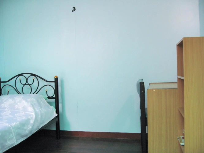 Standard Twin room with view