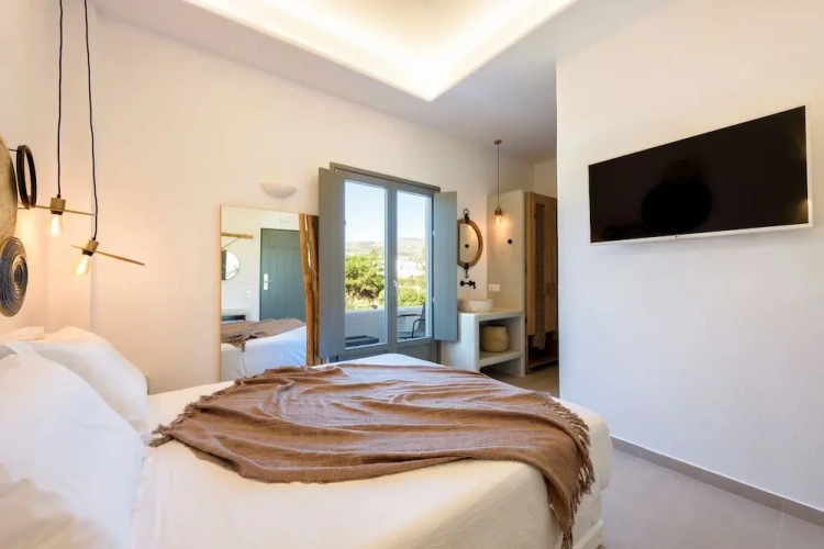 Standard Double room with balcony and with mountain view