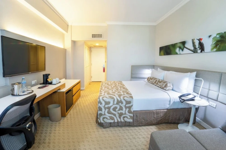Standard Double room with mountain view
