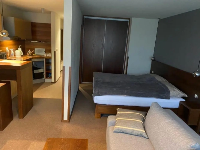Standard Apartment with view