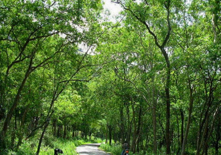 Kerala Wild Stay