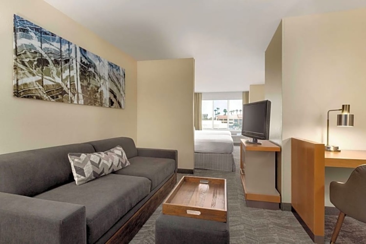 1 Bedroom Suite