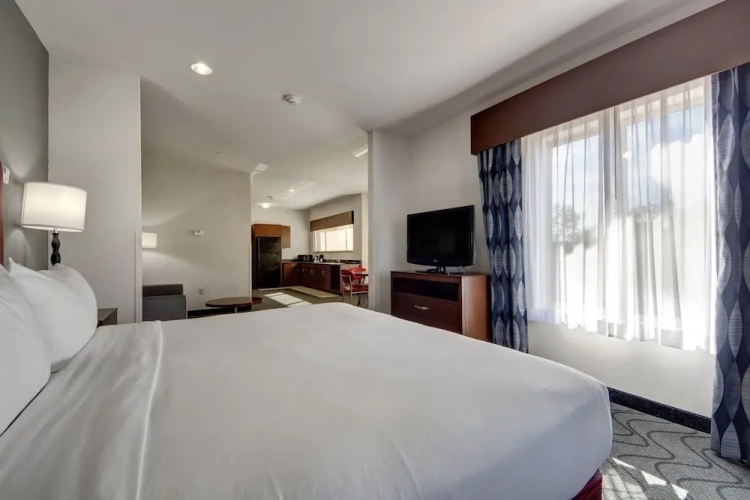 1 Bedroom Suite