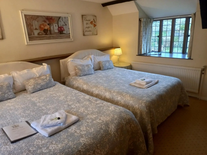 Superior Twin room
