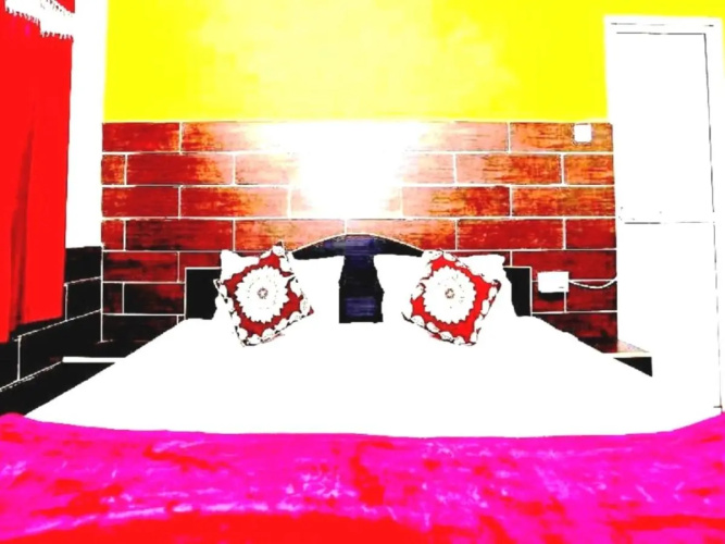 New Ashiyana Palace