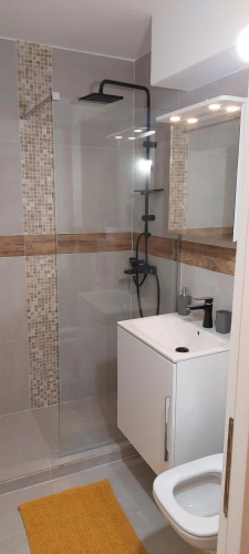 University Apartment
