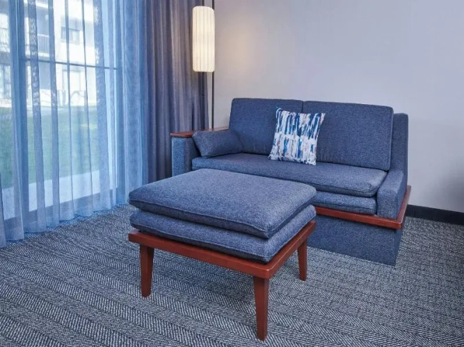 1 Bedroom Suite with view