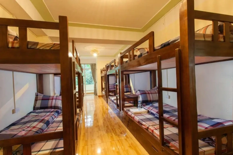 Bed in Dorm